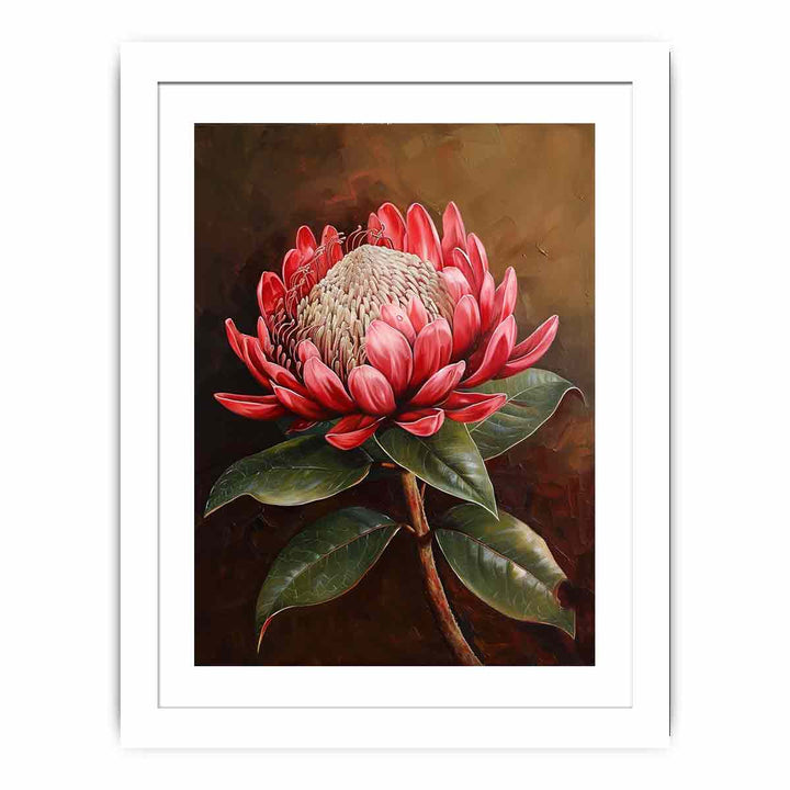 Waratah  Streched canvas