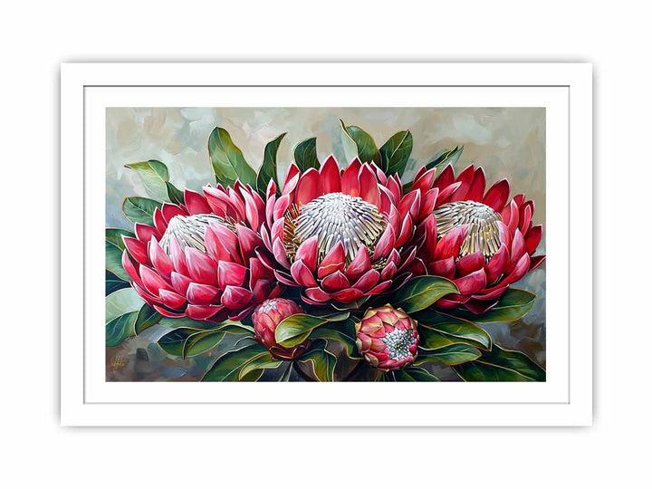 Waratah  Streched canvas