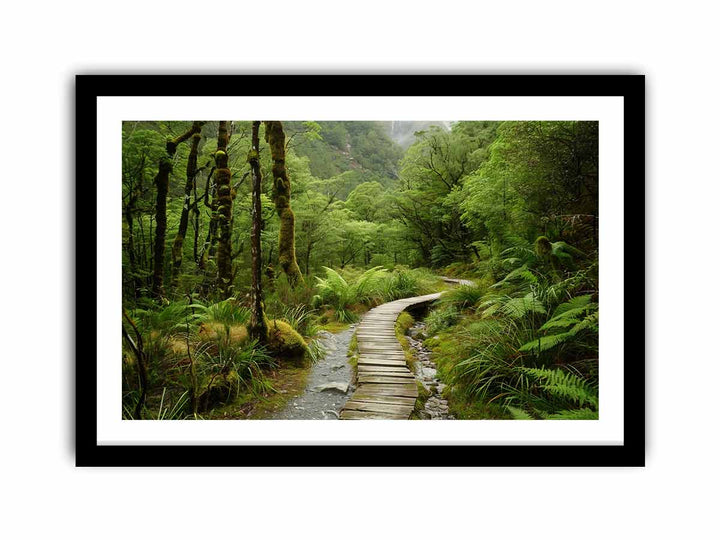 Milford Track   Art Print