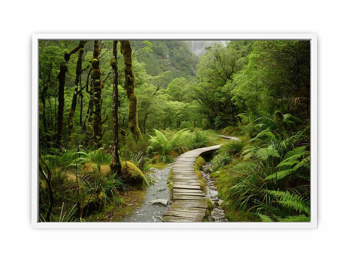 Milford Track  Framed Print