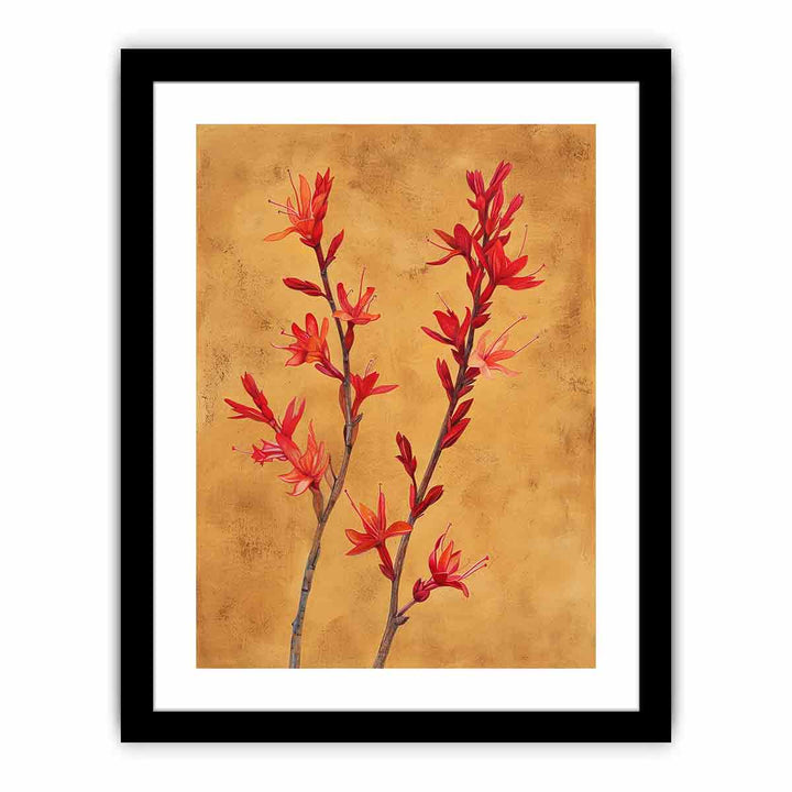 Kangaroo Paw  Art Print