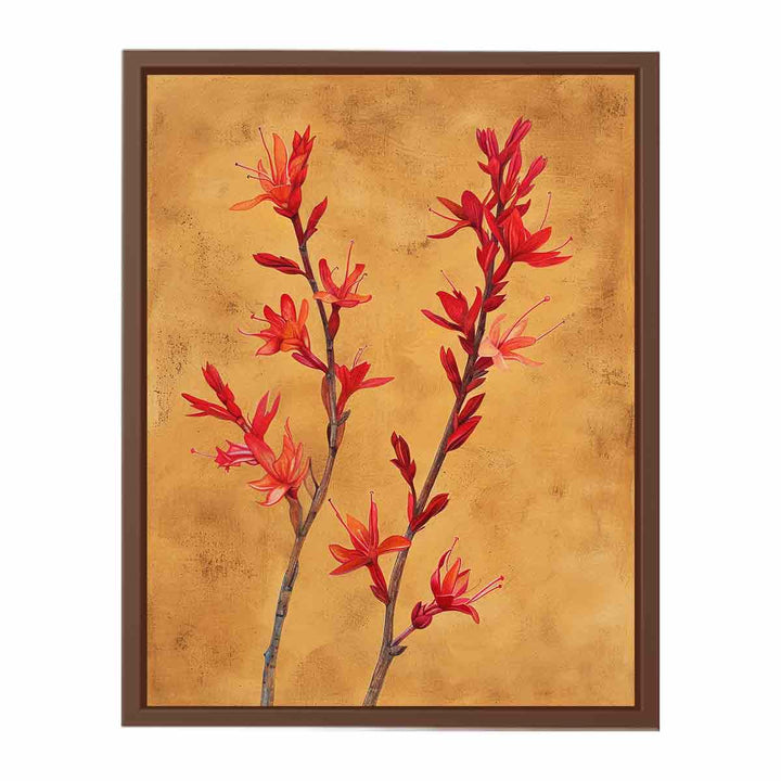 Kangaroo Paw  Poster