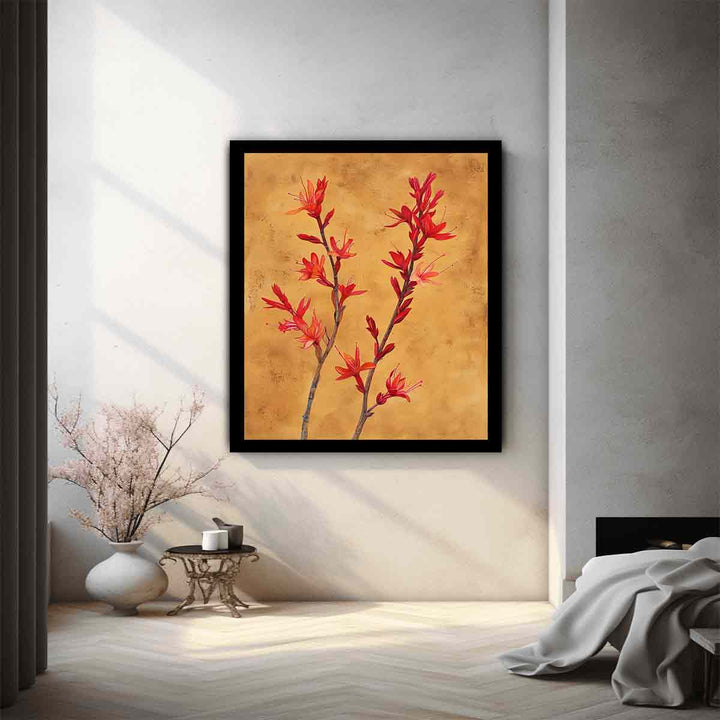 Kangaroo Paw 