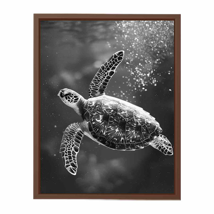 Underwater Turtle   Poster