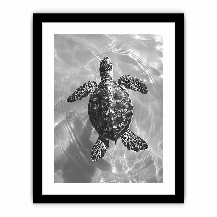 Just In Water  Art Print