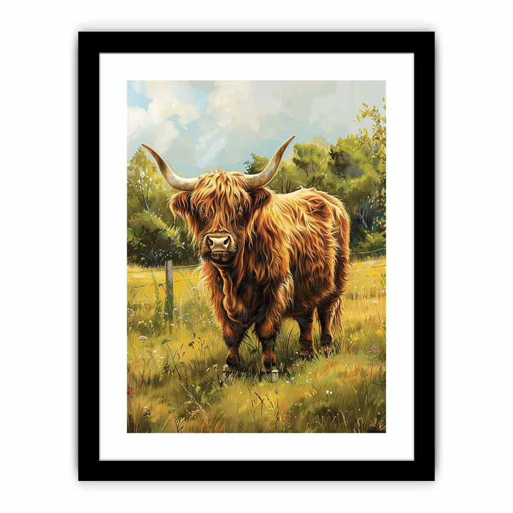 Scottish Highland   Art Print