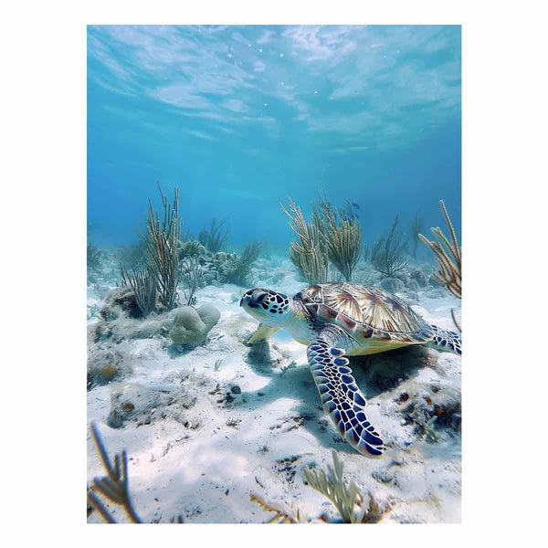 Underwater Turtle 