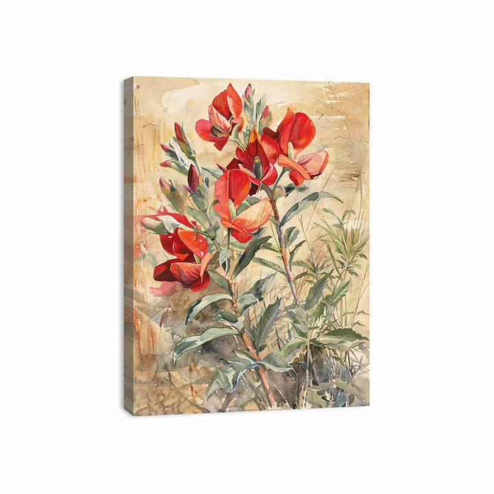 Sturts Desert Pea Canvas Print