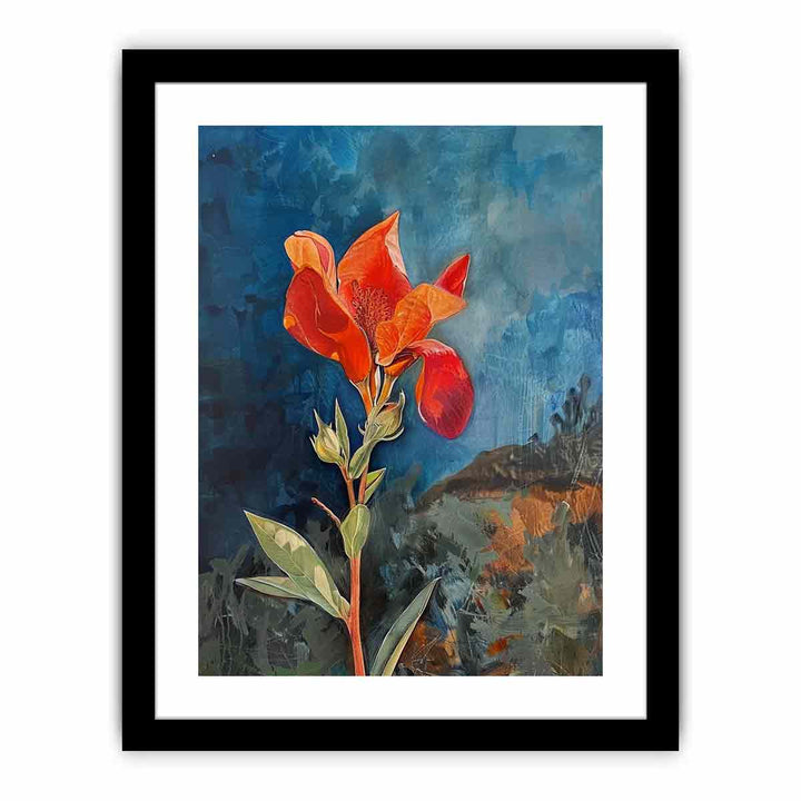 Sturts Desert Pea Flower  Art Print