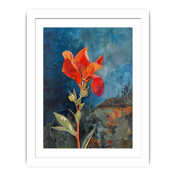 Sturts Desert Pea Flower Streched canvas