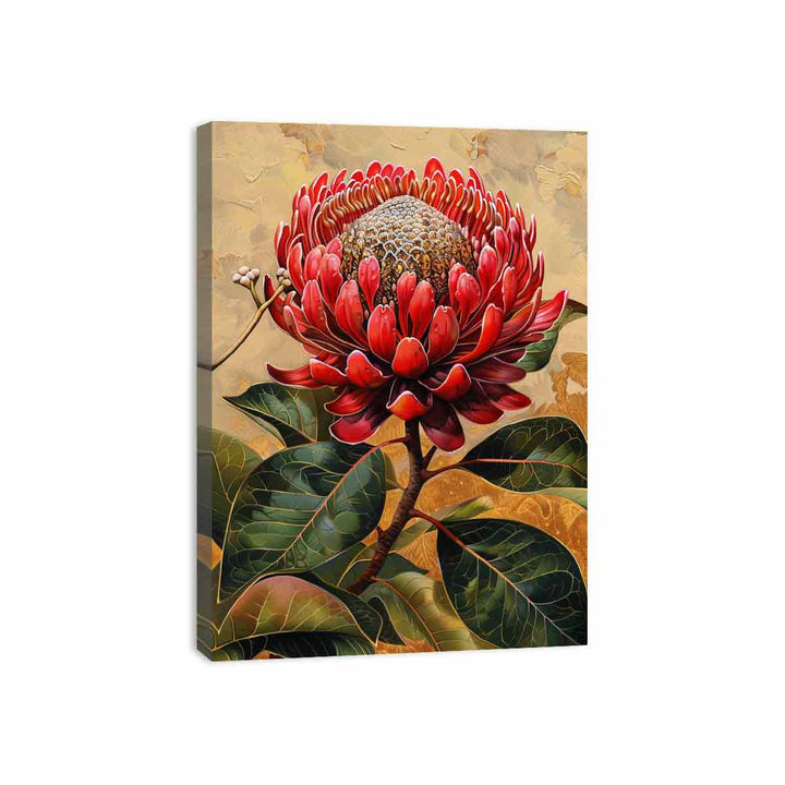 Waratah  Canvas Print