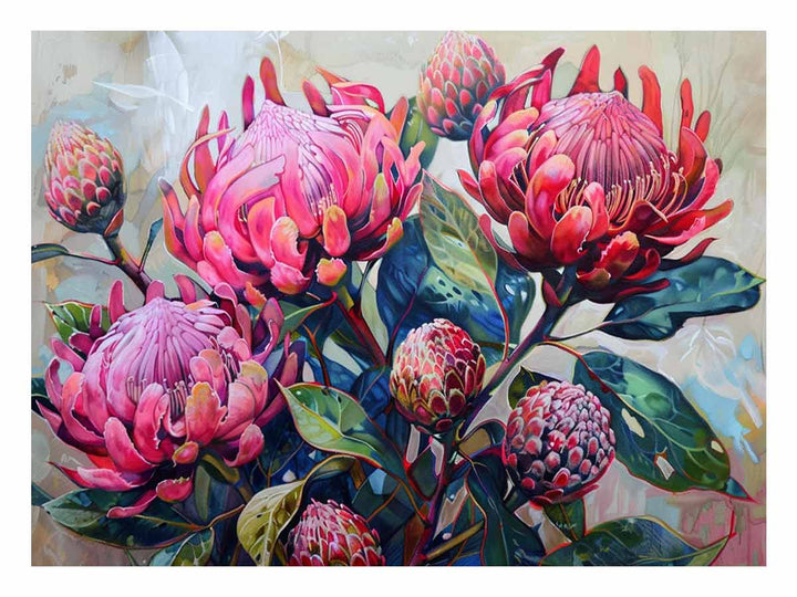 Waratah 