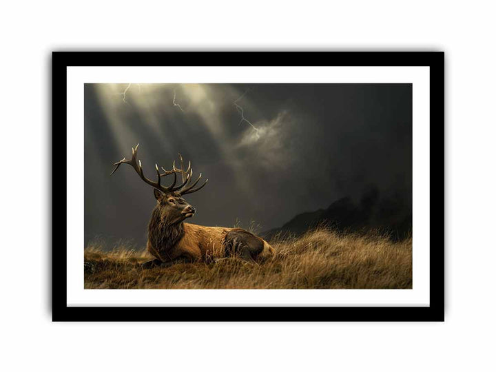 Majestic Stag  Art Print