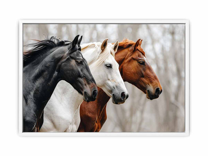 Three Horses Framed Print