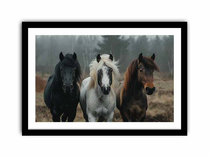 Three Horses   Art Print