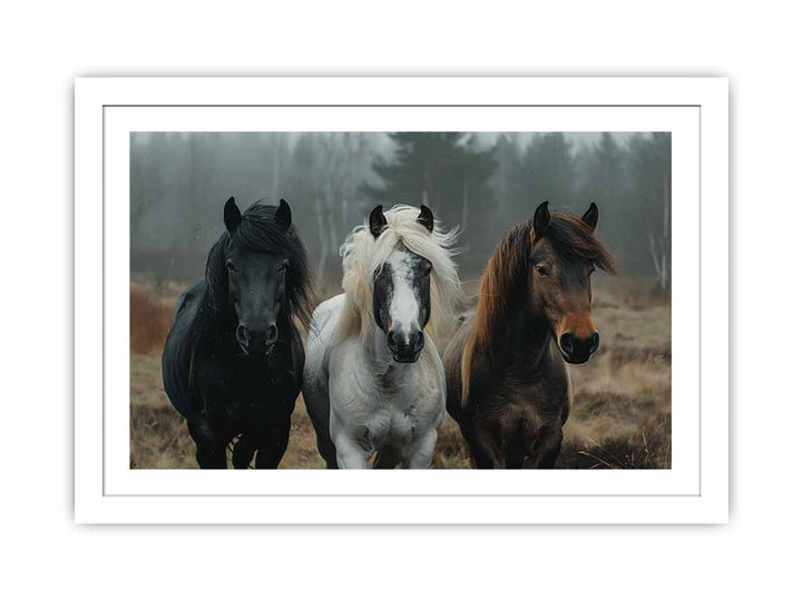 Three Horses  Streched canvas