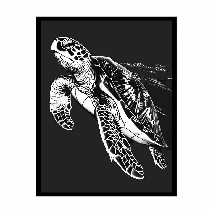 Turtle   Painting