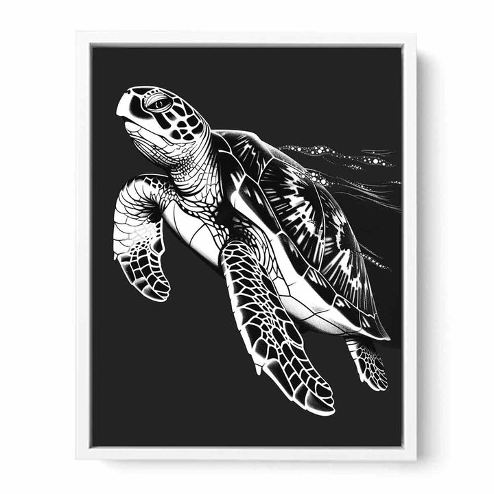 Turtle  Framed Print