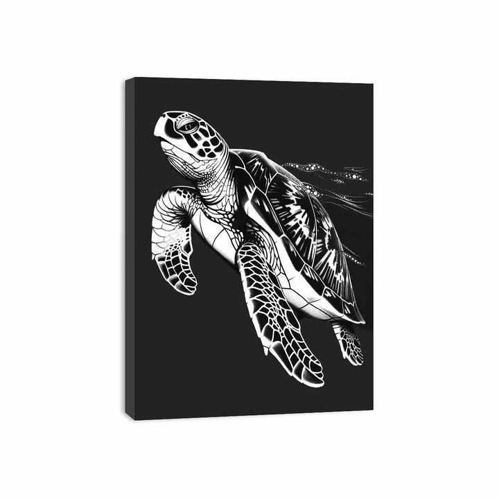 Turtle  Canvas Print