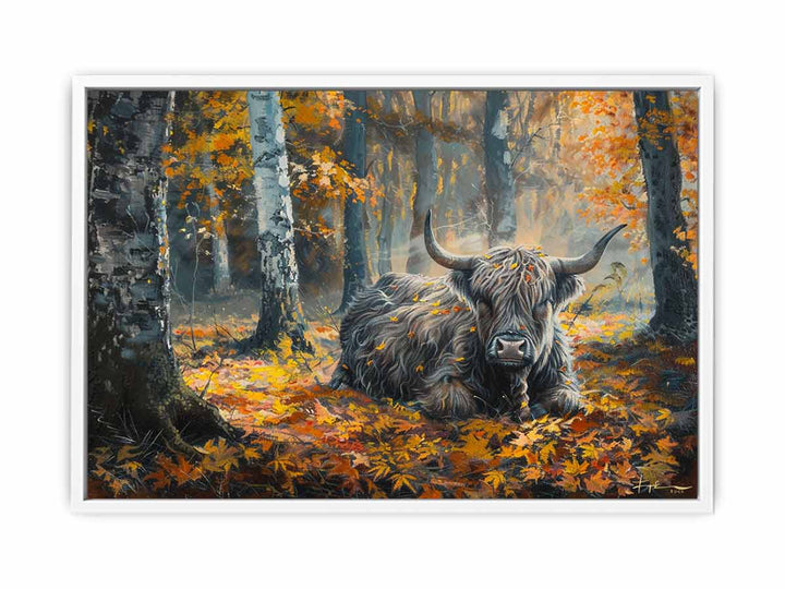 Scottish Highland  Framed Print