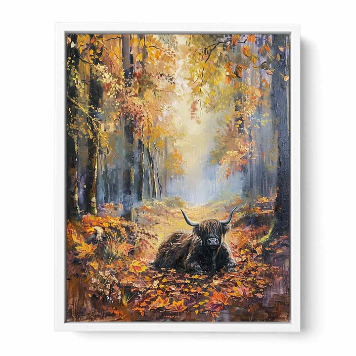 Scottish Highland  Framed Print