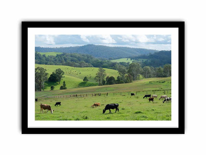 Aussie Farm   Art Print