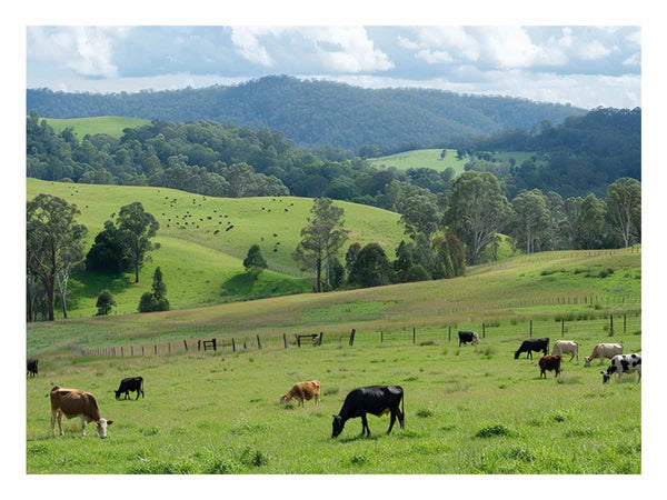 Aussie Farm 