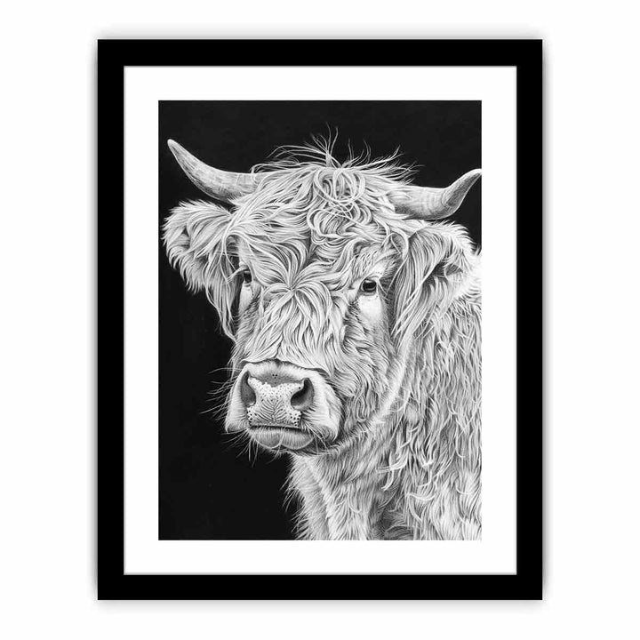 Henrietta The Highland Cow  Art Print