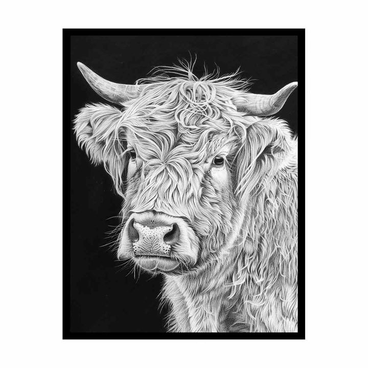 Henrietta The Highland Cow  Painting