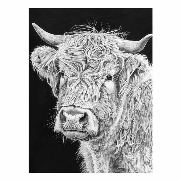 Henrietta The Highland Cow