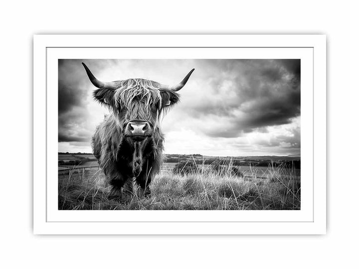 Stormy The Highland Cow Streched canvas