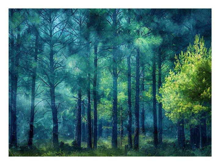 Pine Forest