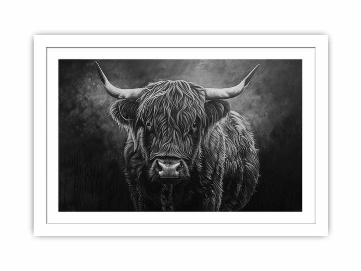 Highland Cow Black & white Streched canvas