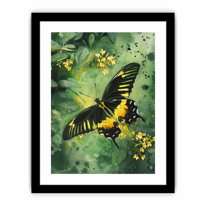 Birdwing Butterfly  Art Print