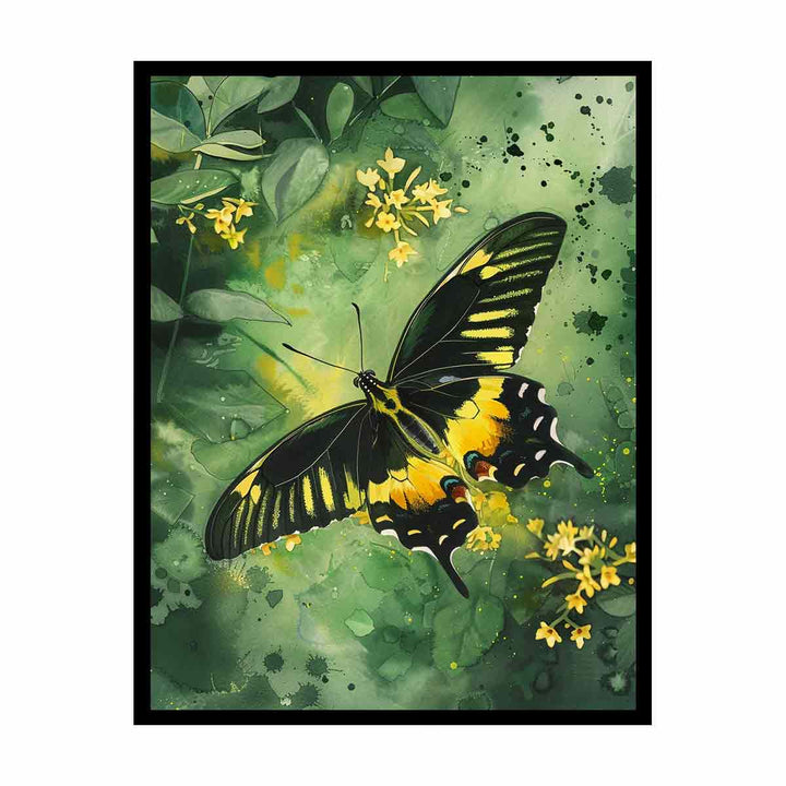 Birdwing Butterfly  Painting