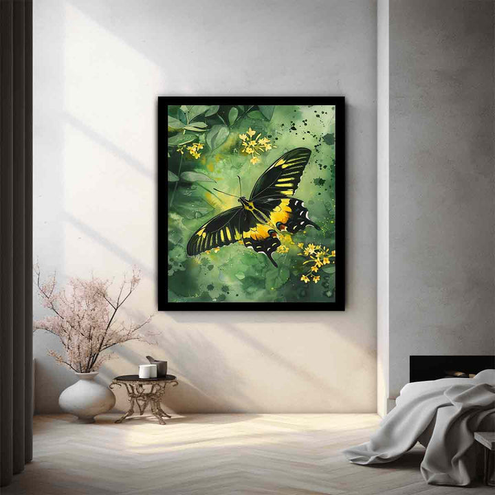 Birdwing Butterfly 