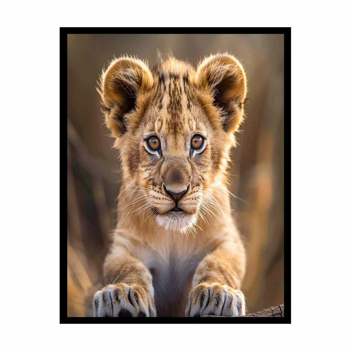 Lion Cub  Painting