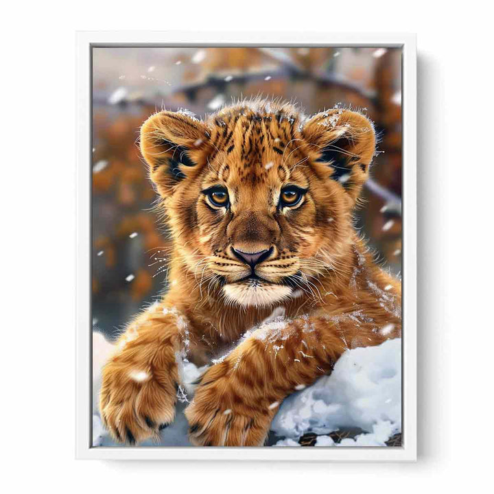 Cute  Cub Framed Print