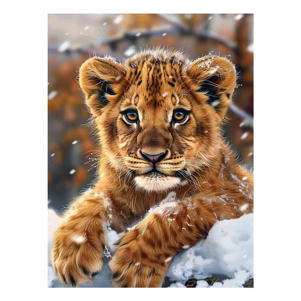 Cute  Cub