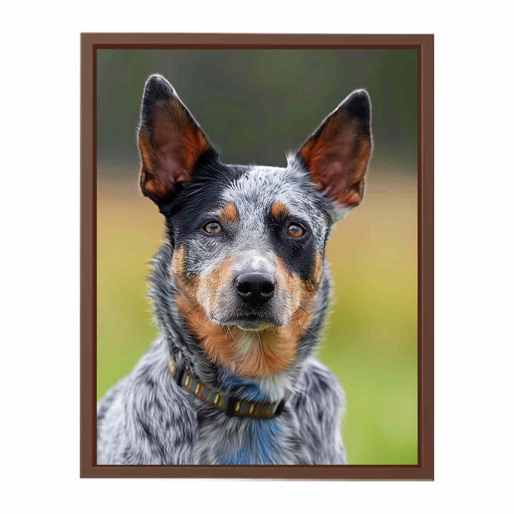 Cattle Dog  Poster