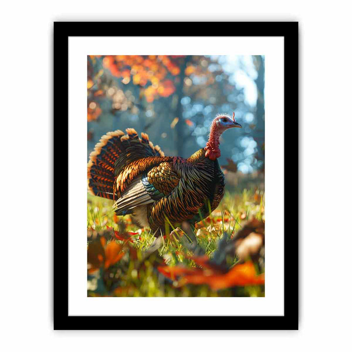 Turkey   Art Print