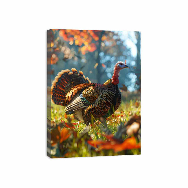 Turkey  Canvas Print