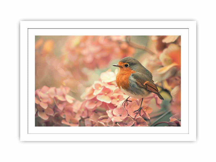 Little Robin Streched canvas