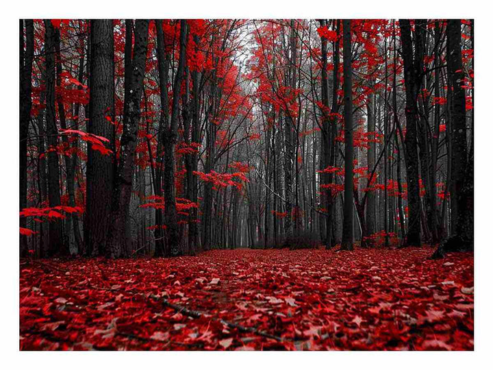 Red Forest