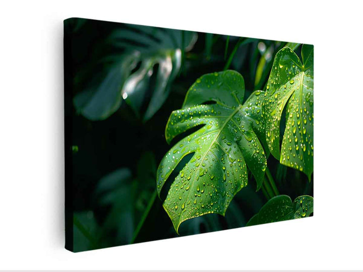  Plant Painting canvas Print